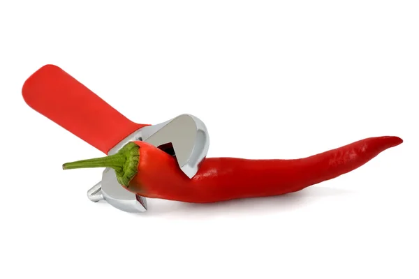 Red hot chili peper en spanner — Stockfoto