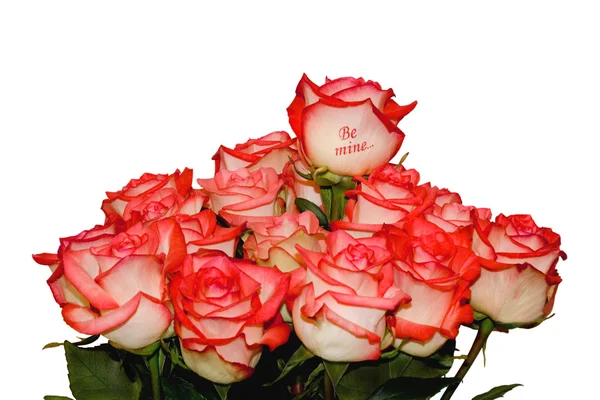 Rosas "Seja meu ..." — Fotografia de Stock