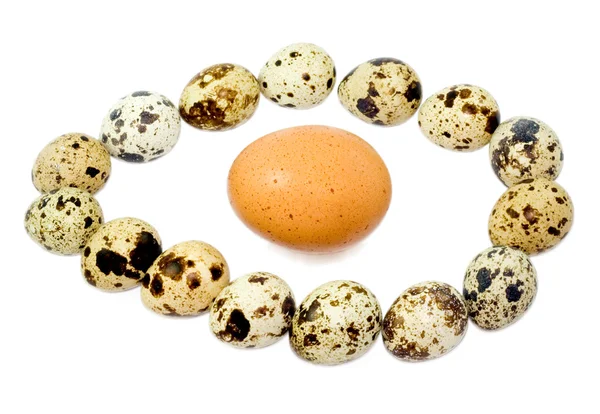 Ei in de sector eieren — Stockfoto