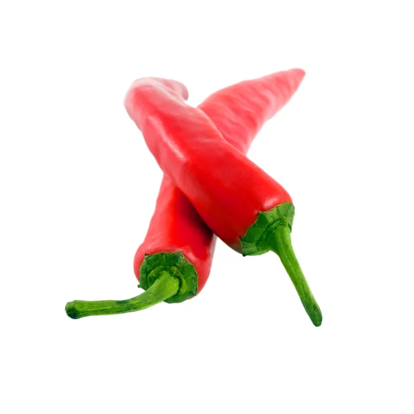 Červená paprika — Stock fotografie