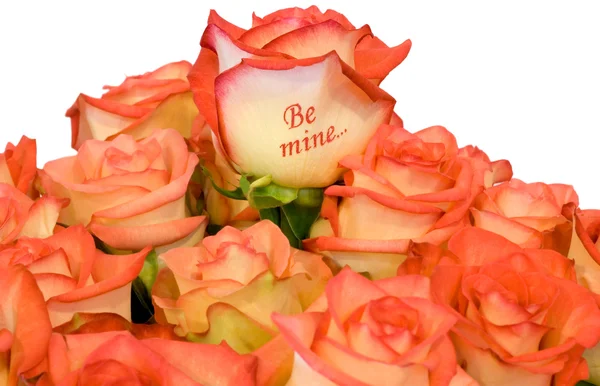 Roses bouquet "Be Mine..." — Stock Photo, Image