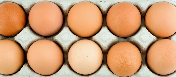 Ovos em estojo de proteção — Fotografia de Stock