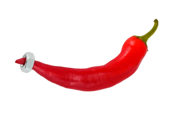 Red hot pepper with nut — Stock Photo, Image