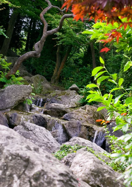 Waterfall in garden — Stock Photo, Image