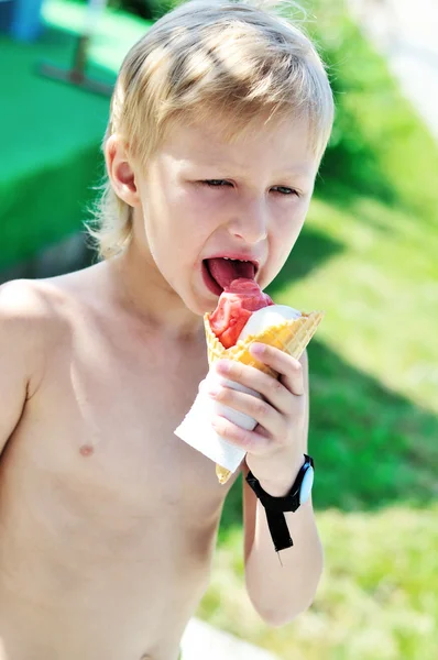 Alimentos de Verão — Fotografia de Stock