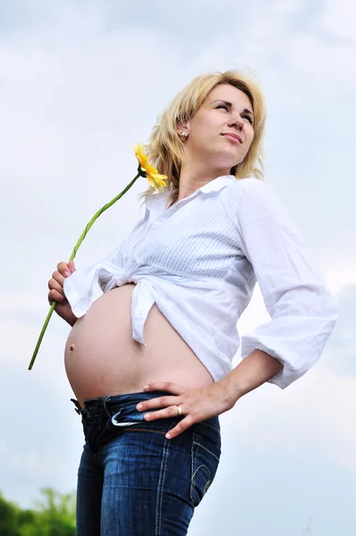 Szépség pregnance — Stock Fotó