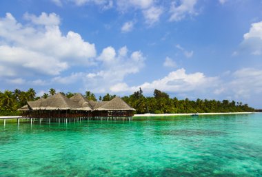 Maldivler de tropikal bir plajda su café