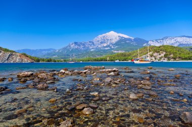 Kumsalda phaselis Antalya, Türkiye