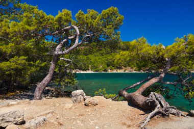 Beach at Phaselis in Antalya, Turkey clipart