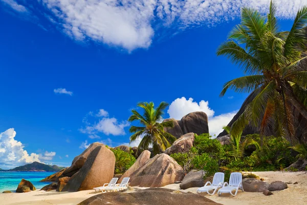 Стільці на тропічному пляжі — стокове фото