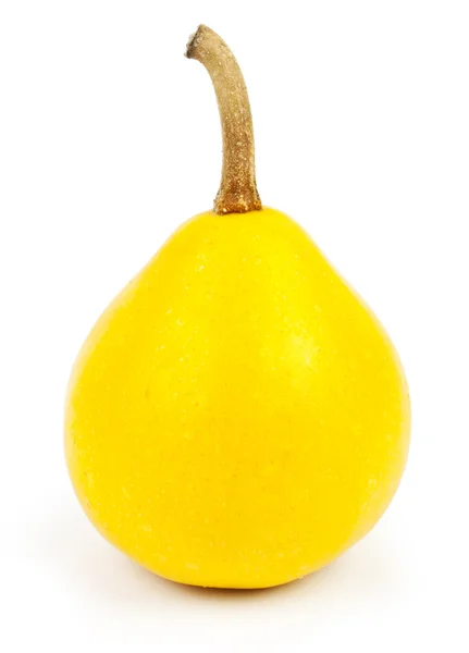 One Pear — Stock Photo, Image