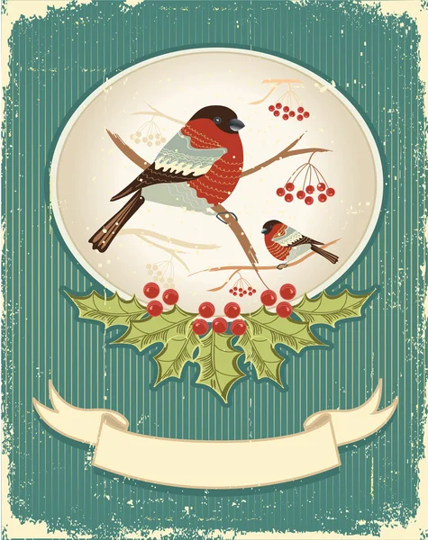 Bullfinches winter.vintage Noel kartı için metin — Stok Vektör