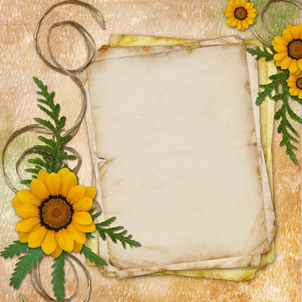 Floral greeting card with place for your text. — Stock Photo, Image