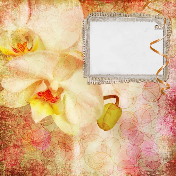 Floral ευχετήρια κάρτα με τη θέση για το κείμενό σας. — Φωτογραφία Αρχείου