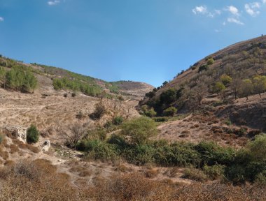 Akdeniz tepelerde kahverengi: Sonbahar