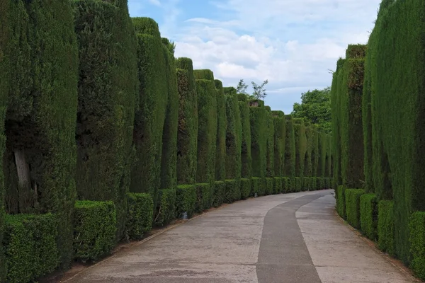 stock image Curved pathway in the famous gardens of Alhambra