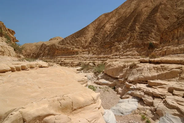 stock image Desert valley