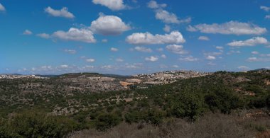 Mediterranean landscape in Upper Galilee clipart