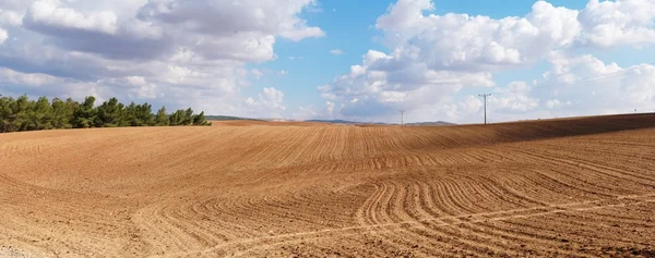 Panorama över gula plöjt fältet mulen dag — Stockfoto