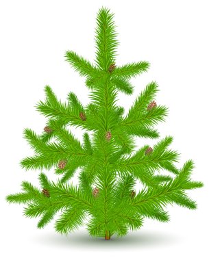 Christmas fur-tree on white clipart