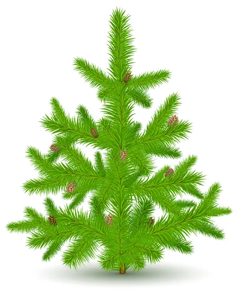 Albero di pelliccia di Natale su bianco — Vettoriale Stock