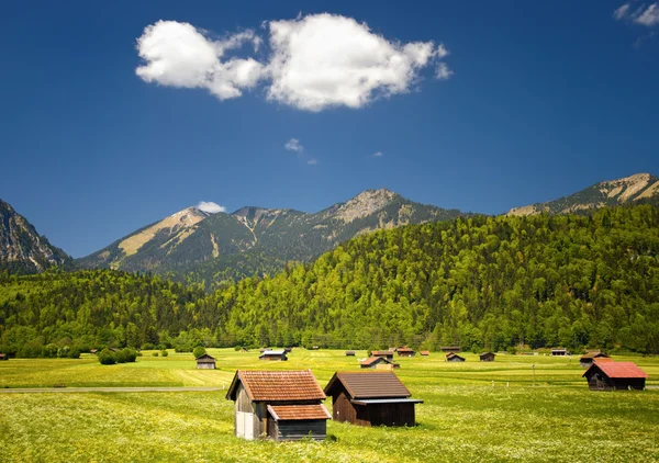 Bavyera Alpleri manzara — Stok fotoğraf
