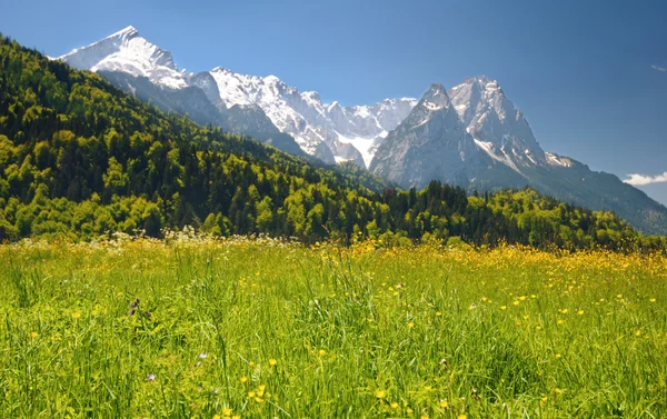 Bavyera Alpleri manzara — Stok fotoğraf
