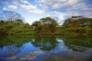 Nature in Guanacaste clipart