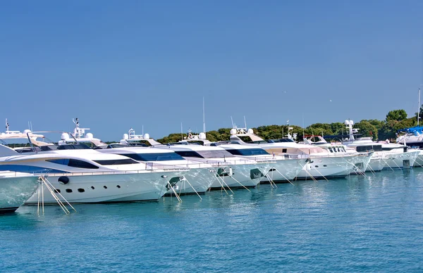 stock image White yachts