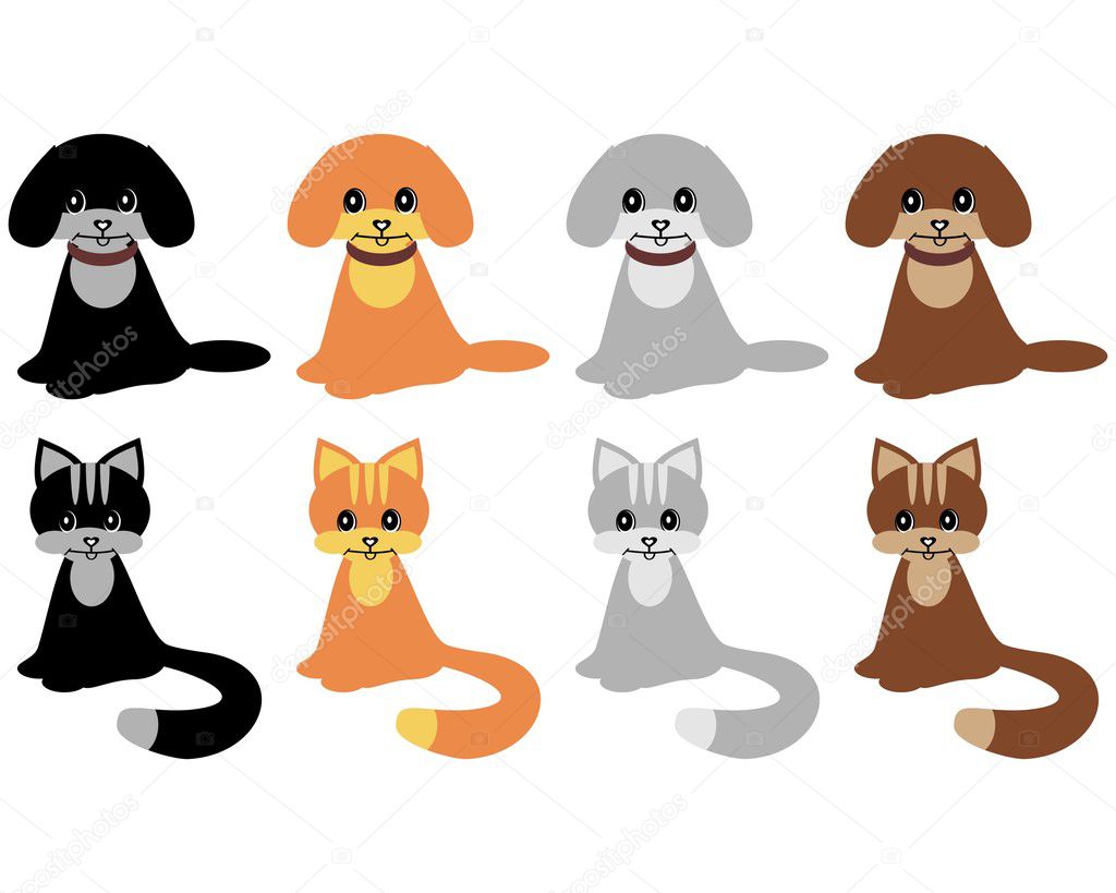 Dogs and cats on white background