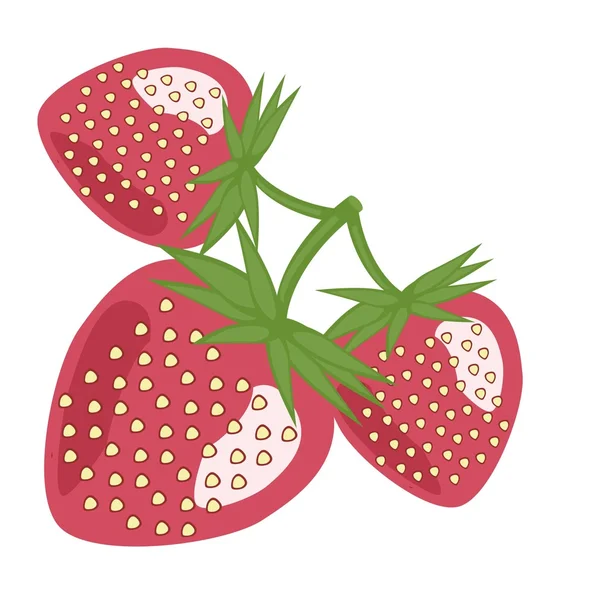 Τρεις φράουλες σε λευκό φόντο — Διανυσματικό Αρχείο