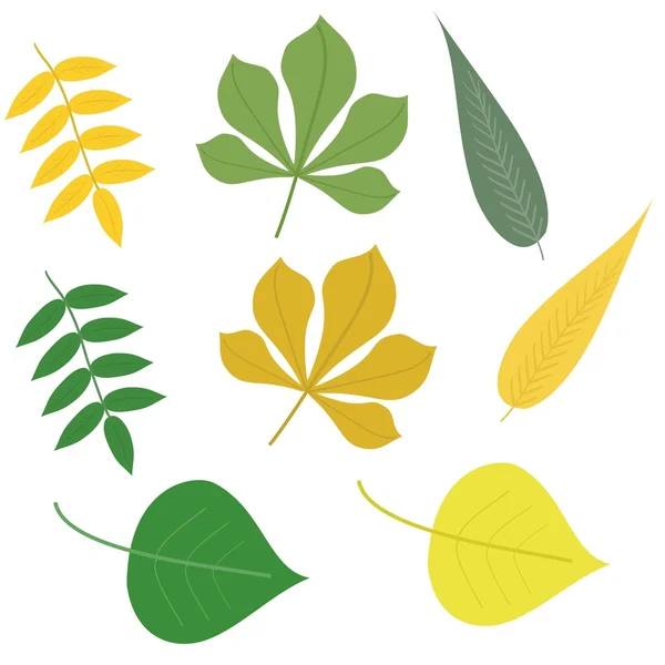 Blätter auf weißem Hintergrund — Stockvektor