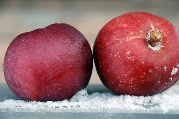 Red apples, Frost and snow — Stock Photo, Image