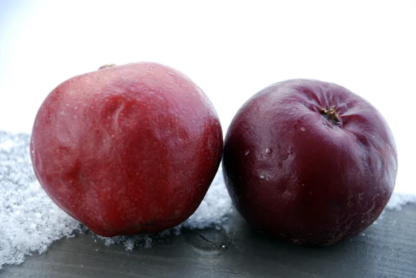Pommes rouges, givre et neige — Photo