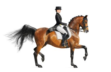 Equestrian sport - dressage clipart