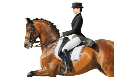 Equestrian sport - dressage clipart