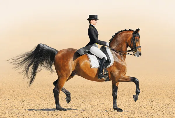 Equestrian sport - dressage — Stock Photo, Image