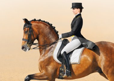 Equestrian sport - dressage, closeup clipart