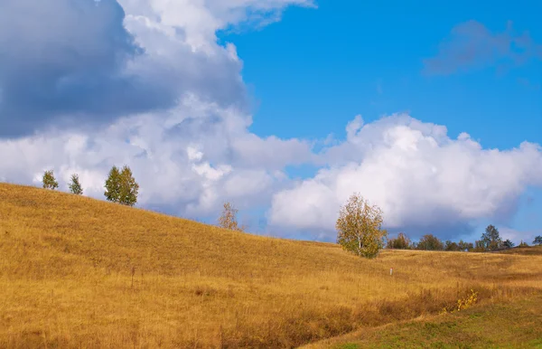 Осенний пейзаж с полем и деревьями — стоковое фото