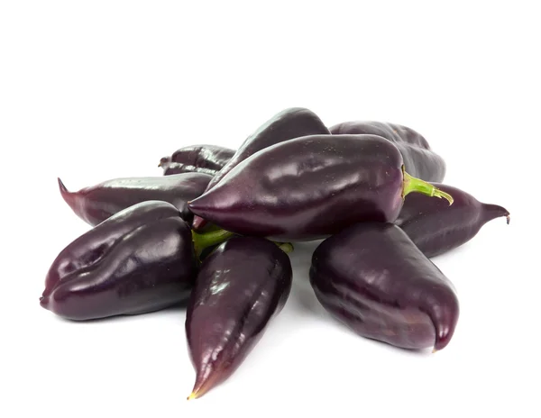 Pimienta púrpura —  Fotos de Stock