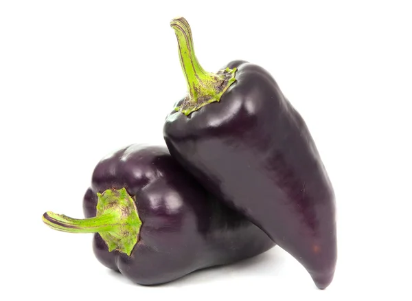 Pimienta púrpura — Foto de Stock