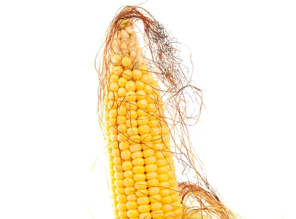 Kukoricafül — Stock Fotó