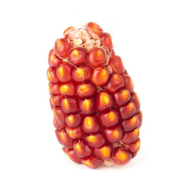 stock image Ripe corn