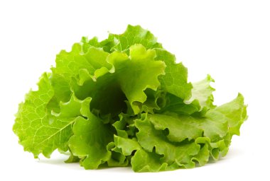 Lettuce leaves clipart