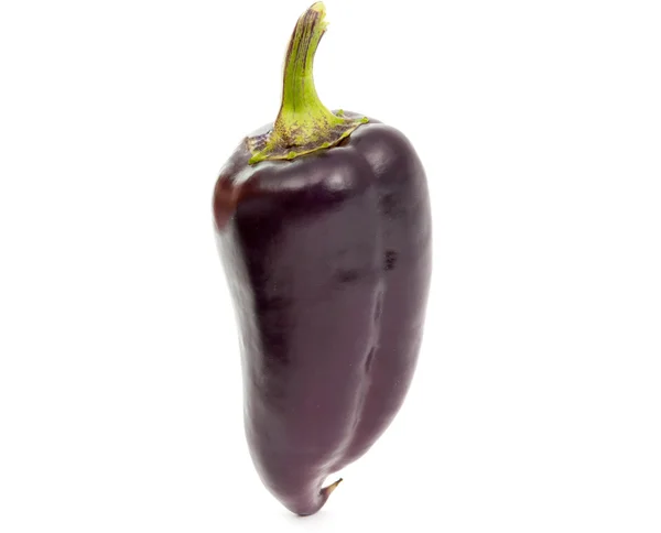 Purple pepper — Stock Photo, Image
