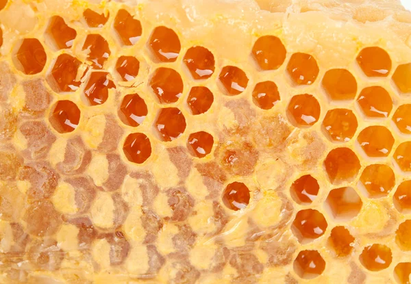 Makro o strukturze plastra miodu — Zdjęcie stockowe