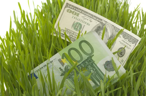 Dolar ve euro ile yeşil çimen — Stok fotoğraf