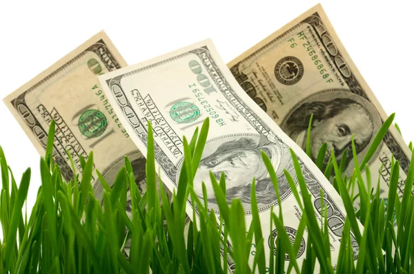 Zelené trávě s dolarem — Stock fotografie