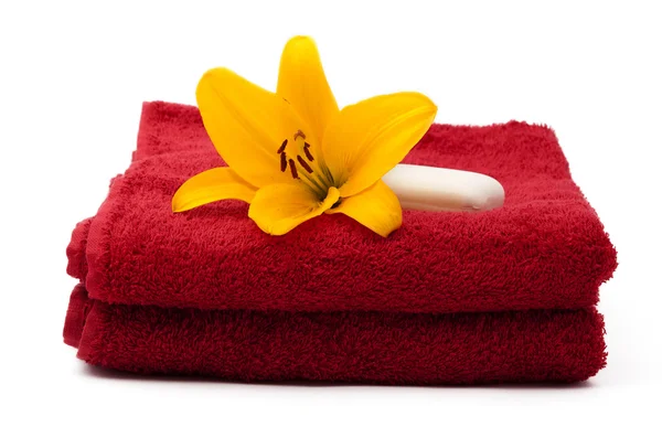 Czerwony ręcznik z lily — Zdjęcie stockowe