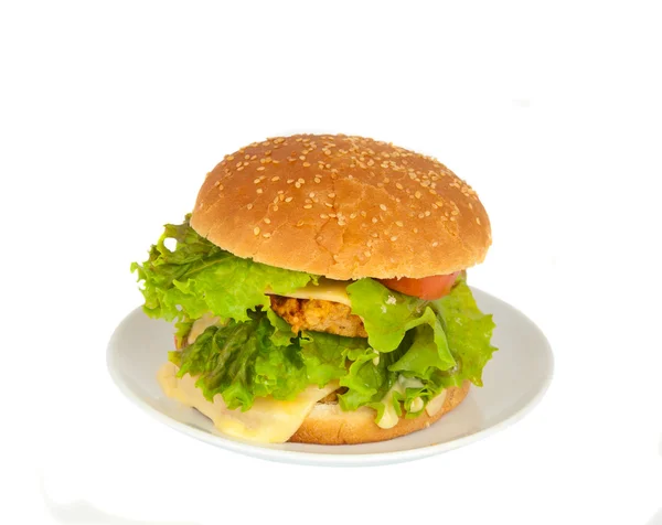 Чизбургер в тарелке — стоковое фото